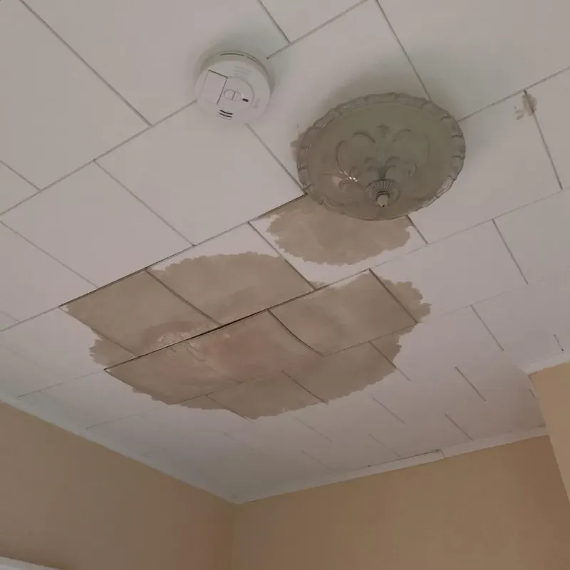 Ceiling Water Damage Repair in Waldon, CA